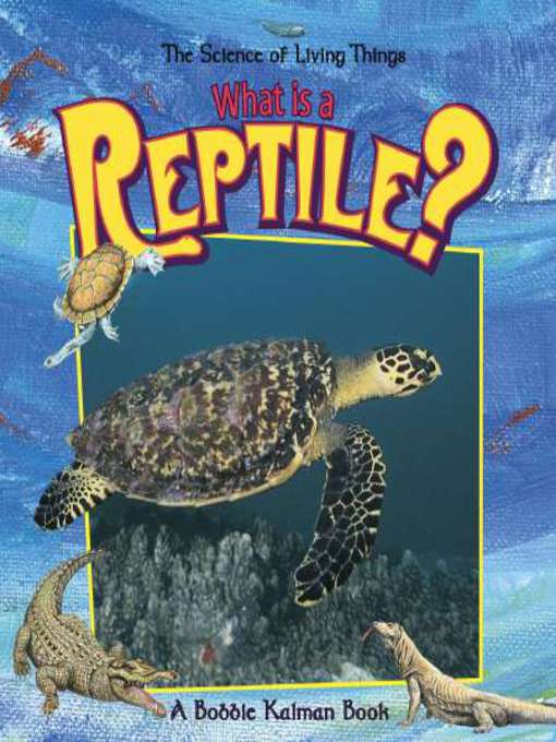 Title details for What is a Reptile? by Bobbie Kalman - Wait list